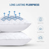 HDPE Microfiber Alternative Cooling  Hypoallergenic Pillow (Set Of 2)