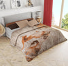 Fall Double Bed 2 Ply Blanket